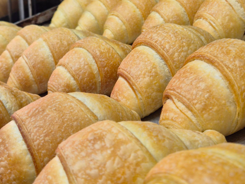 Golden brown croissants baked to perfection, arranged in rows